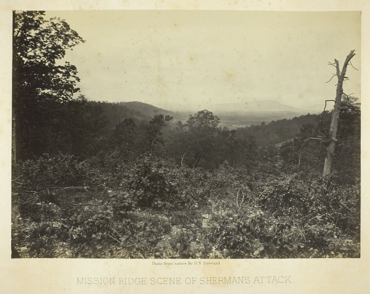 Mission Ridge scene for Shermans angreb af George N. Barnard