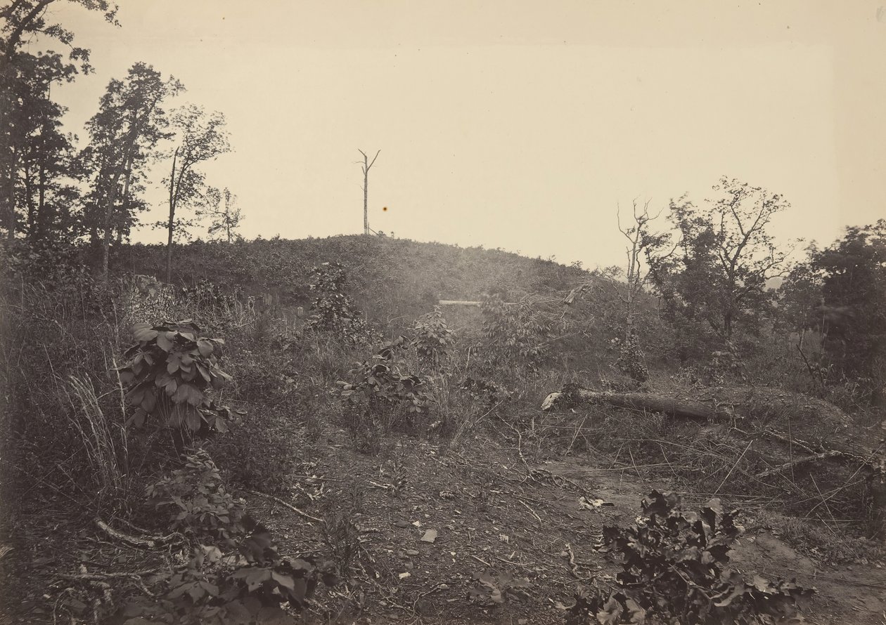 Pine Mountain, 1860