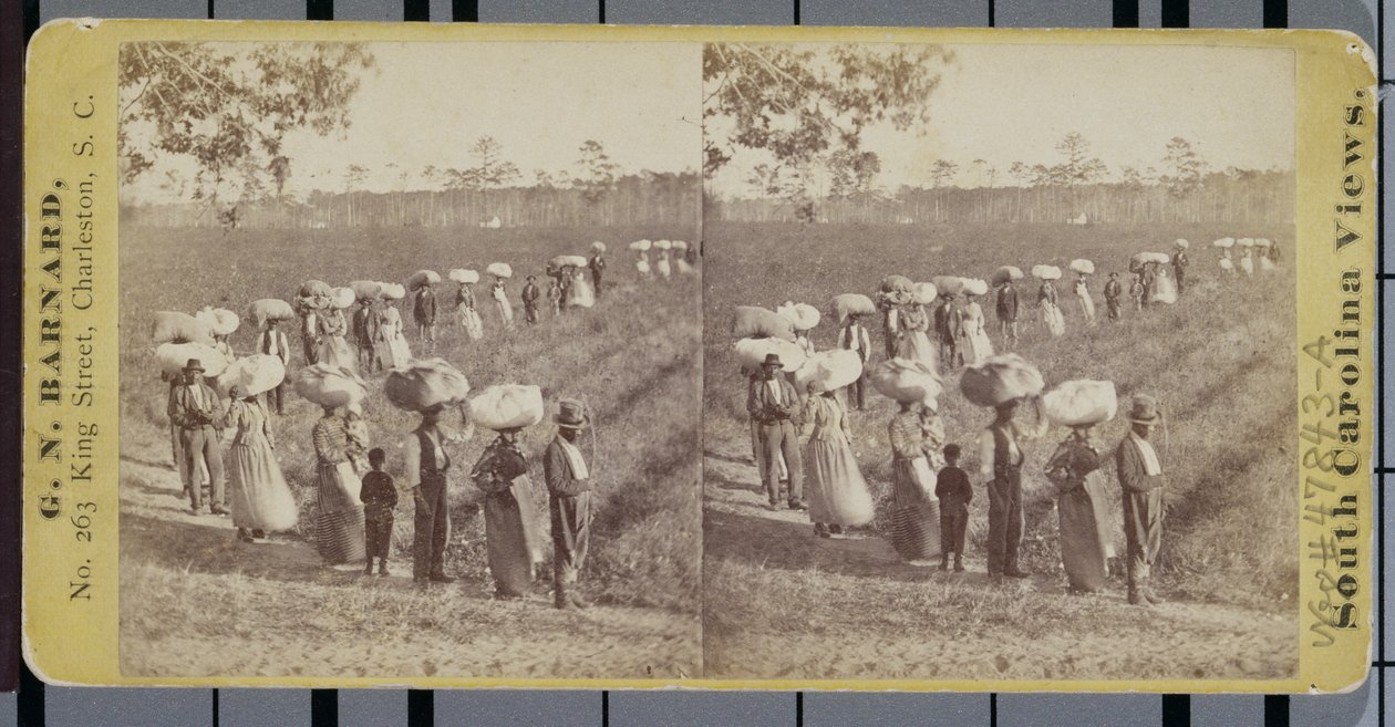 Vender tilbage fra Cottonfields i South Carolina (stereograf) af George N. Barnard