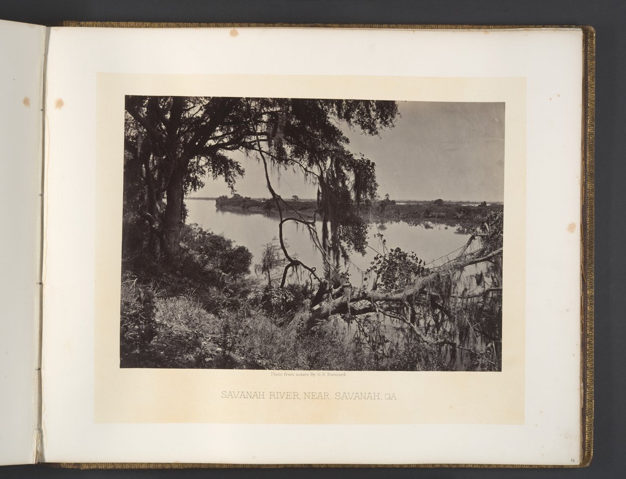 Savannah-floden, nær Savannah, Georgia af George N. Barnard
