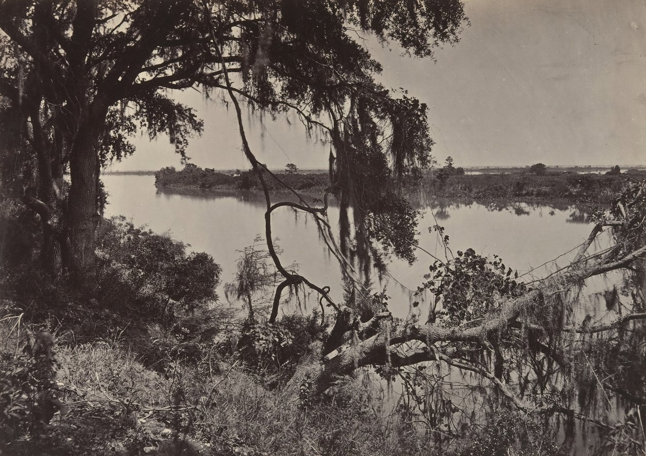 Savannah River, nær Savannah, Georgia, 1860
