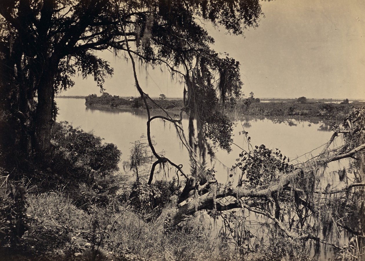 [Savannahfloden, nær Savannah, Georgia] af George N. Barnard