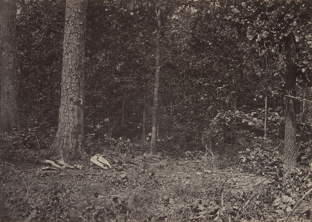 Scene for General McPhersons død, 1864 eller 1866. af George N. Barnard