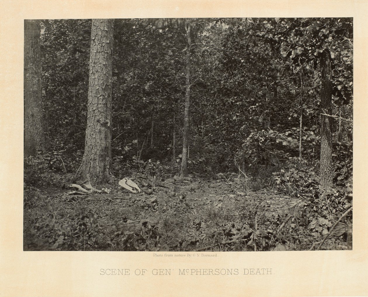 Scene af General McPherson