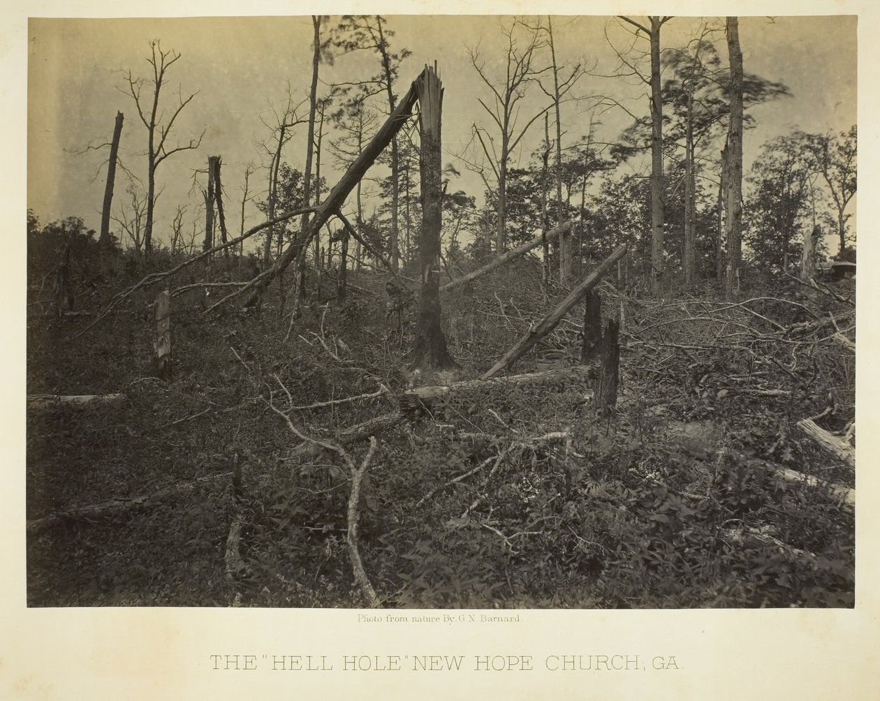 The Hell Hole, New Hope Church, GA, 1866. af George N. Barnard