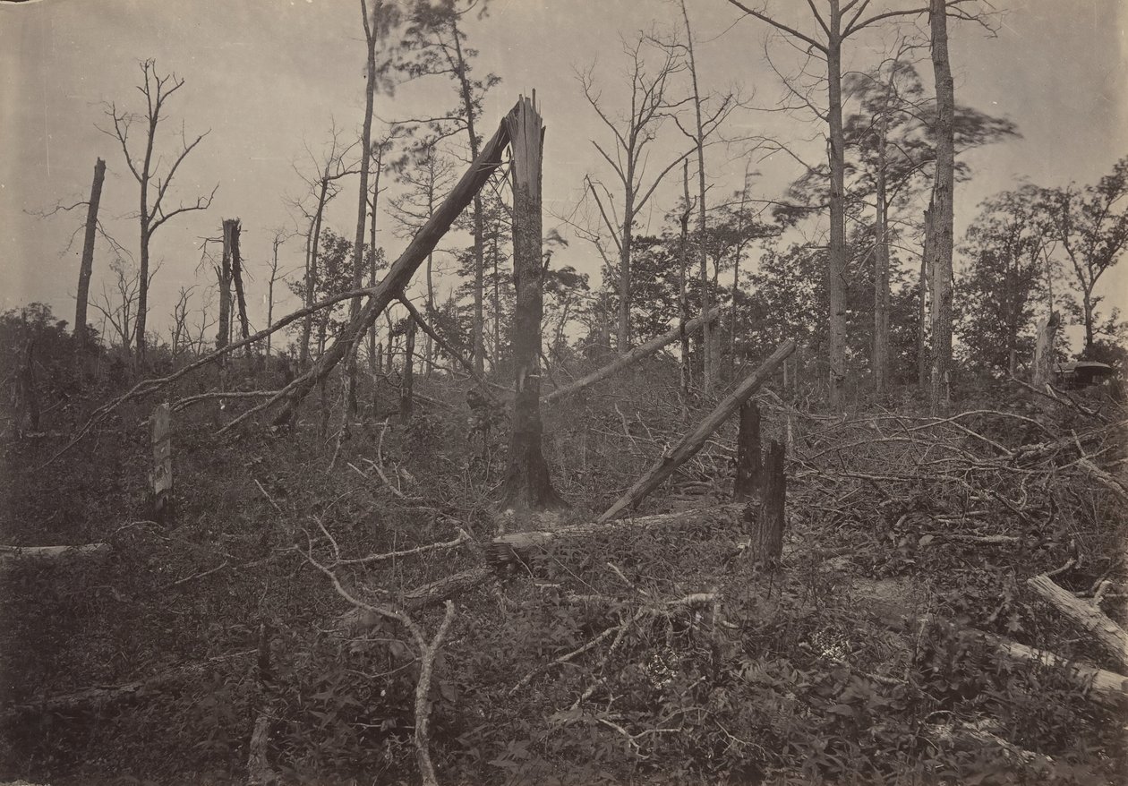 The Hell Hole New Hope Church, Georgia, 1860