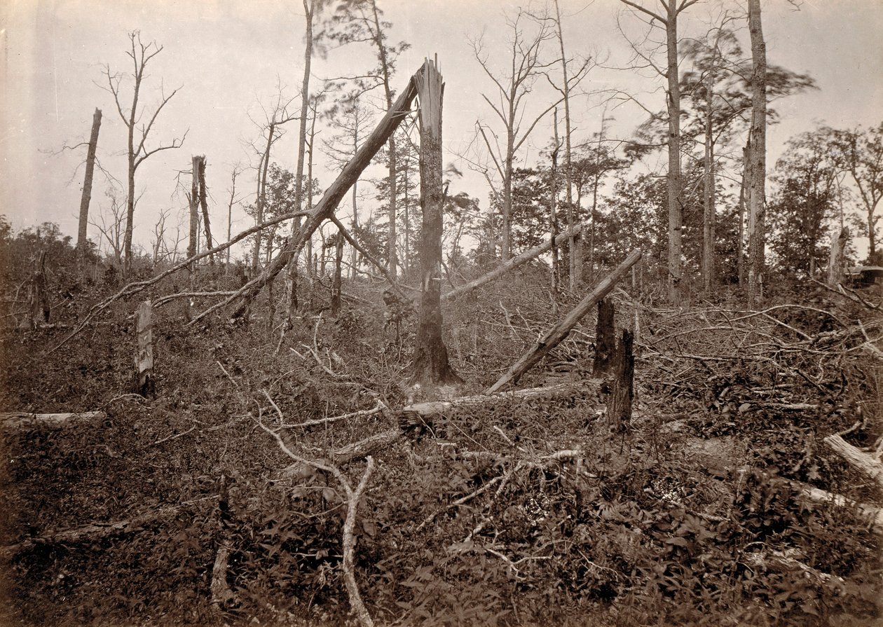 "Helvedeshullet", New Hope Church, Georgia, fra Photographic Views of Sherman