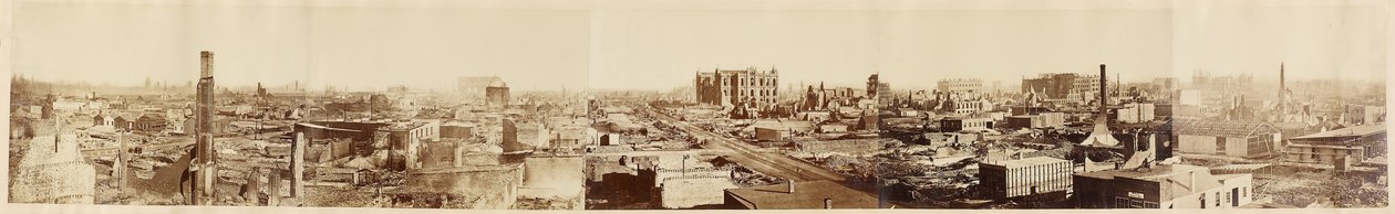 Uden titel Chicago after the Chicago Fire, 1871. af George N. Barnard