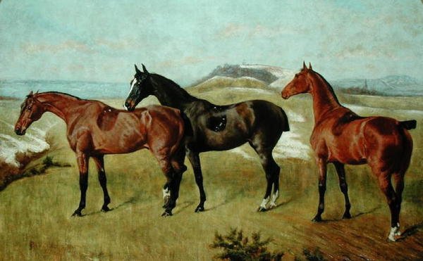 Tre heste: Whissendine, Swallow og Tiptop af George Paice