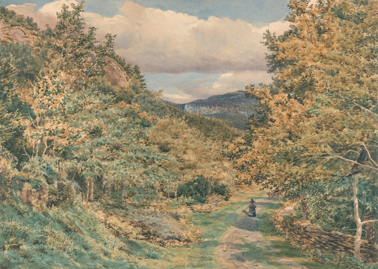 En vej nær Bettws-y-Coed af George Price Boyce