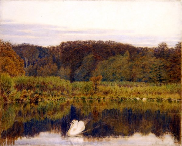 Abinger Mill Pond, Surrey- Morning in Late Autumn (akvarel på papir) af George Price Boyce