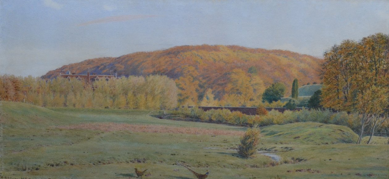 Wotton House, Surrey af George Price Boyce