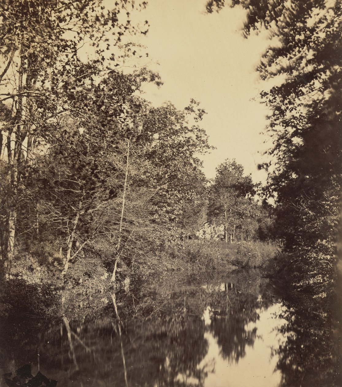 The Dell,1863 (foto) af George Rockwood Gardner