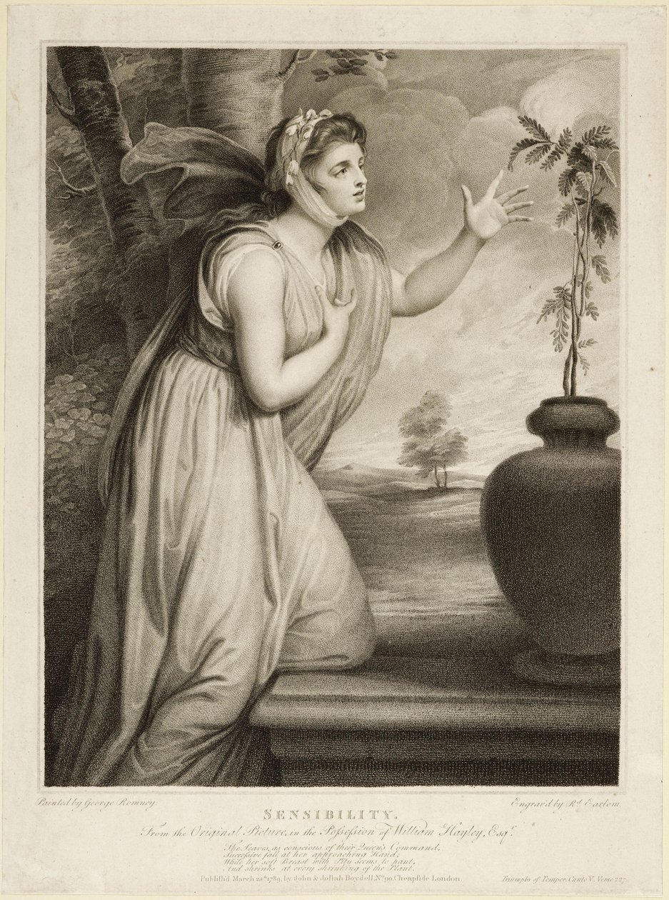 Følsomhed af George Romney