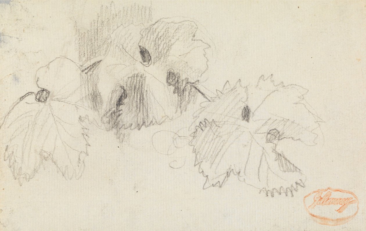 Undersøgelse af blade 1 af George Romney