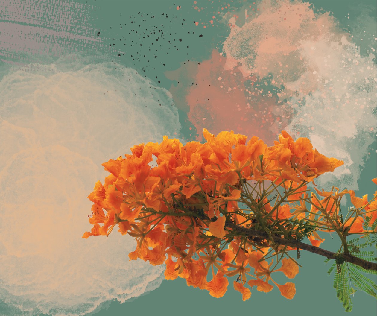 Royal Poinciana "El Flamboyan" (digital) af George Rosaly