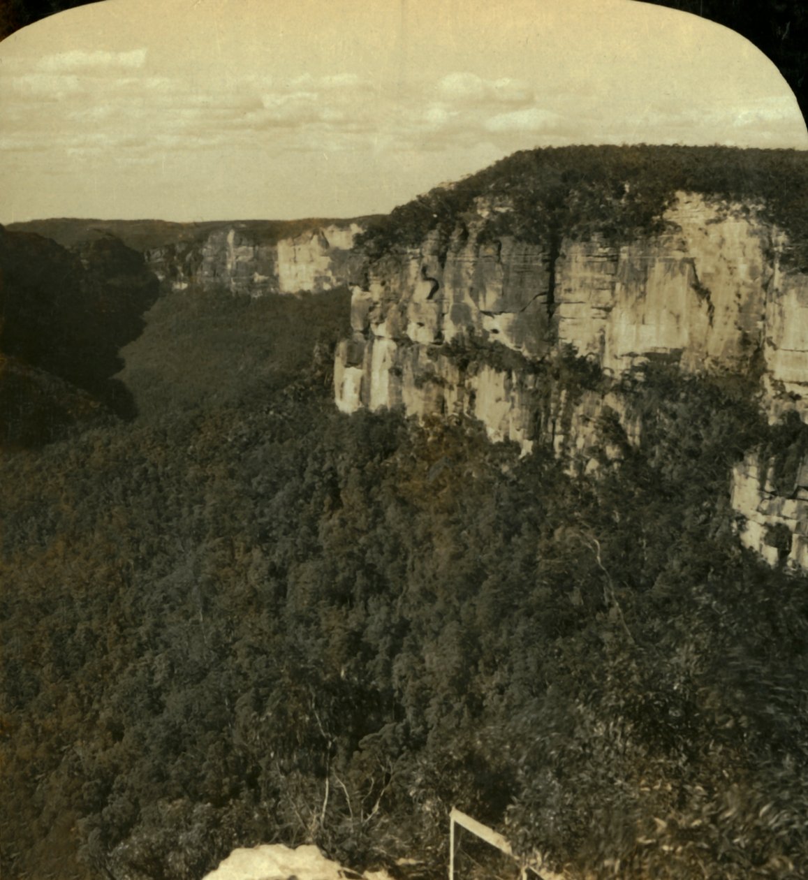 The Grose Valley, Blue Mountains, N.S.W., Australien, 1909. af George Rose