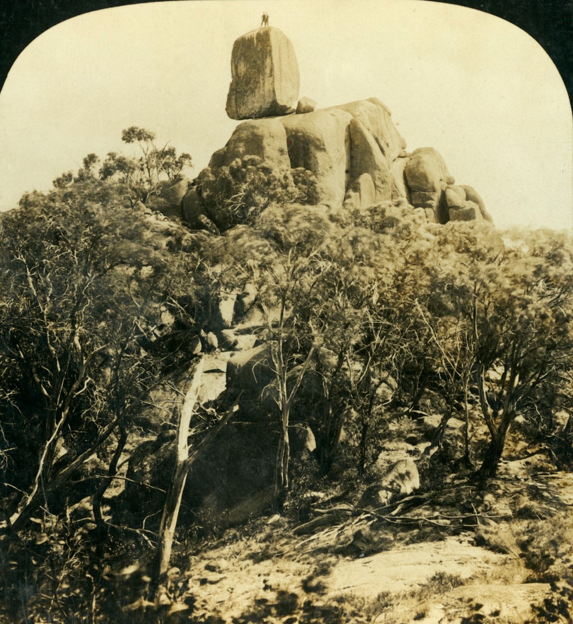 The Look-Out Rock, Buffalo Ranges, Victoria, Australien, c1909. af George Rose