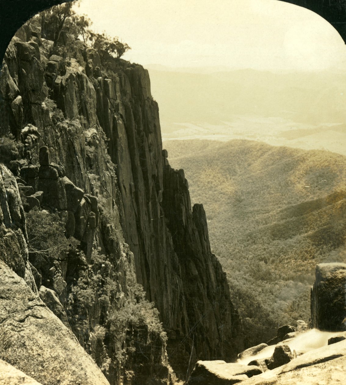 The North Side of the Gorge, Buffalo Ranges, Victoria, Australien, c1909. af George Rose