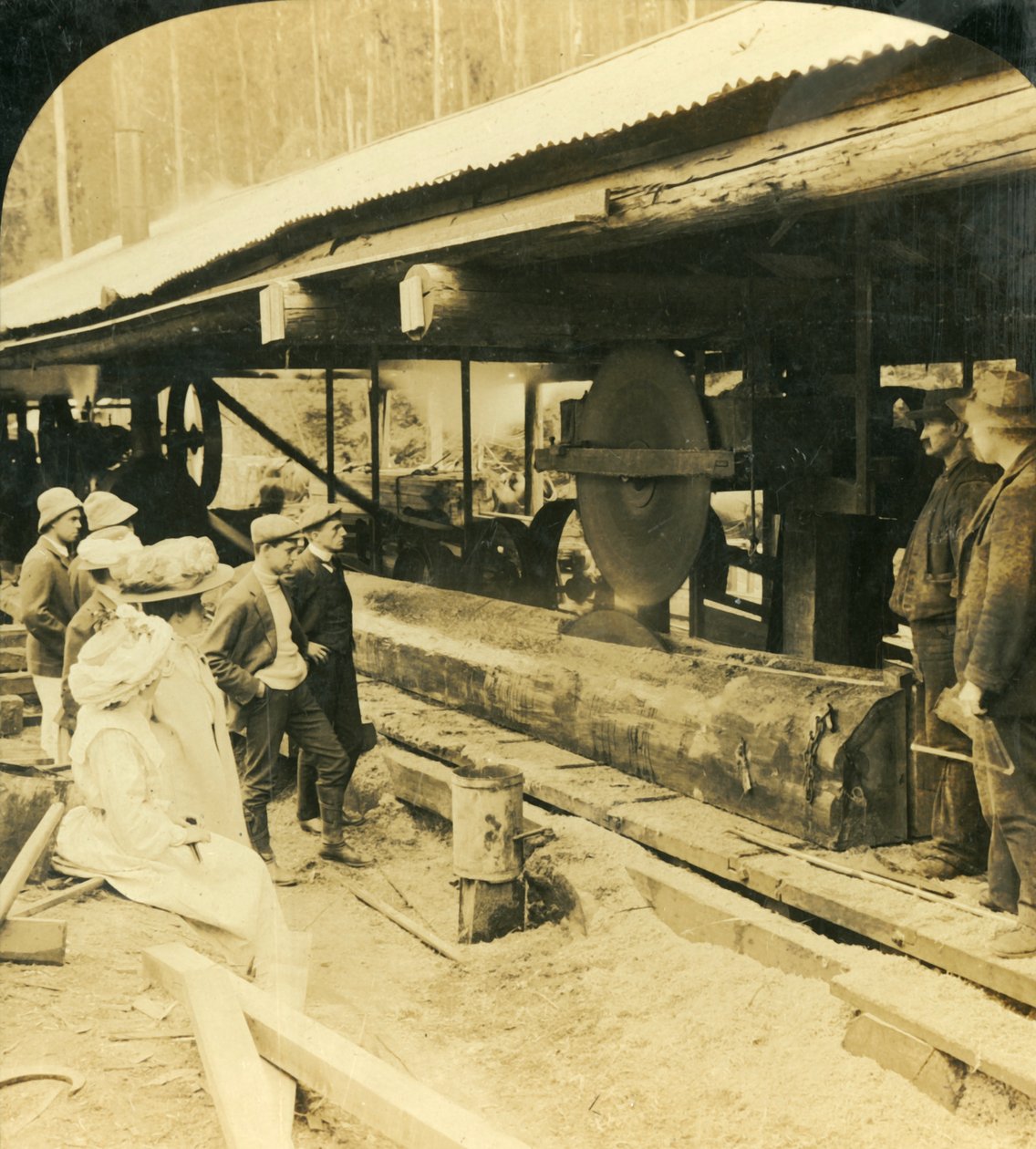 The Timber Industry, Warburton, Victoria, Australien, 1909. af George Rose