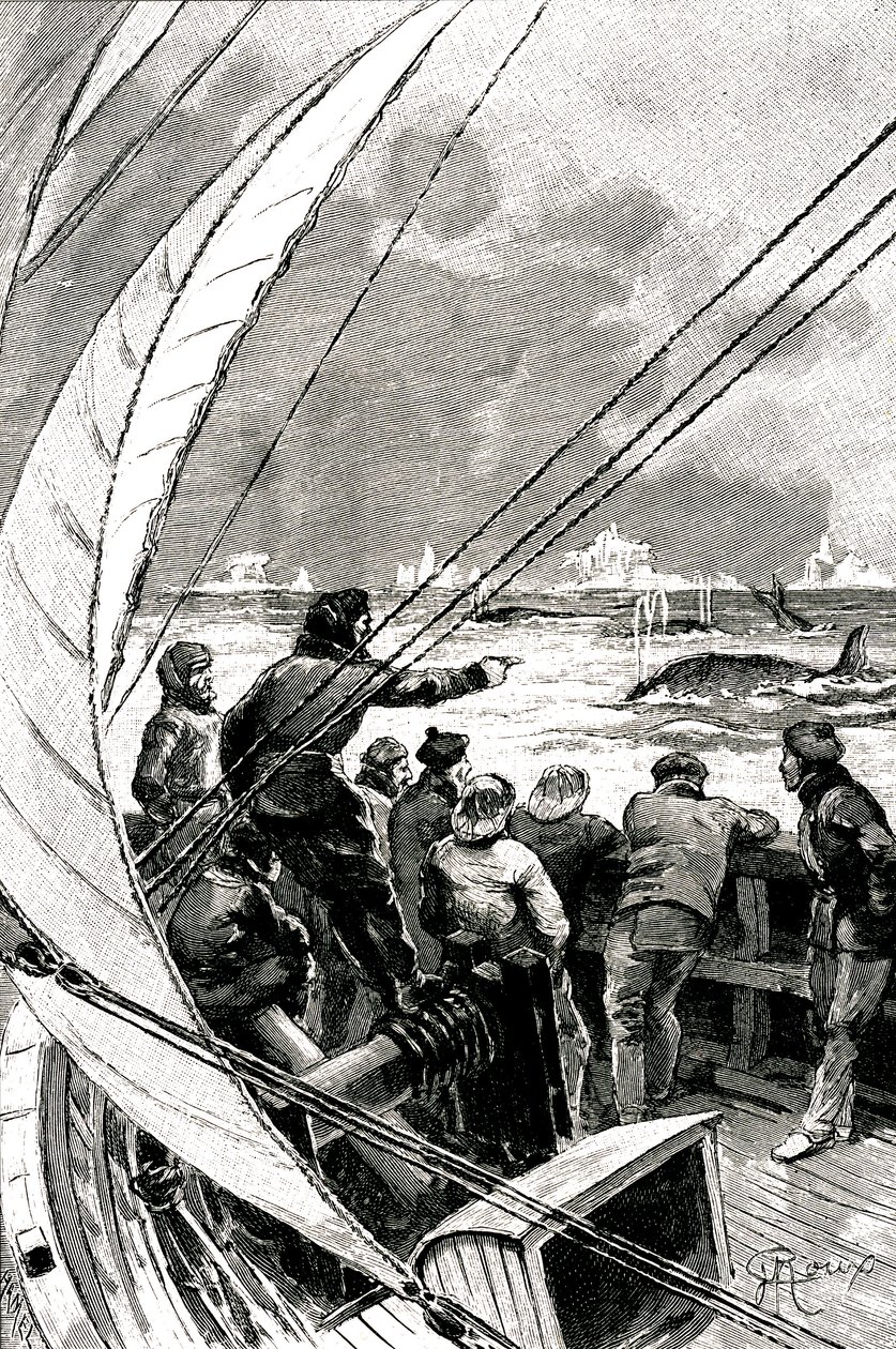 Til søs mod polen: besætningen på et skib (sejlbåd) ser en gruppe hvaler. Illustration af romanen af Jules Verne (1828-1905) "" The Ice Sphinx "" af George Roux