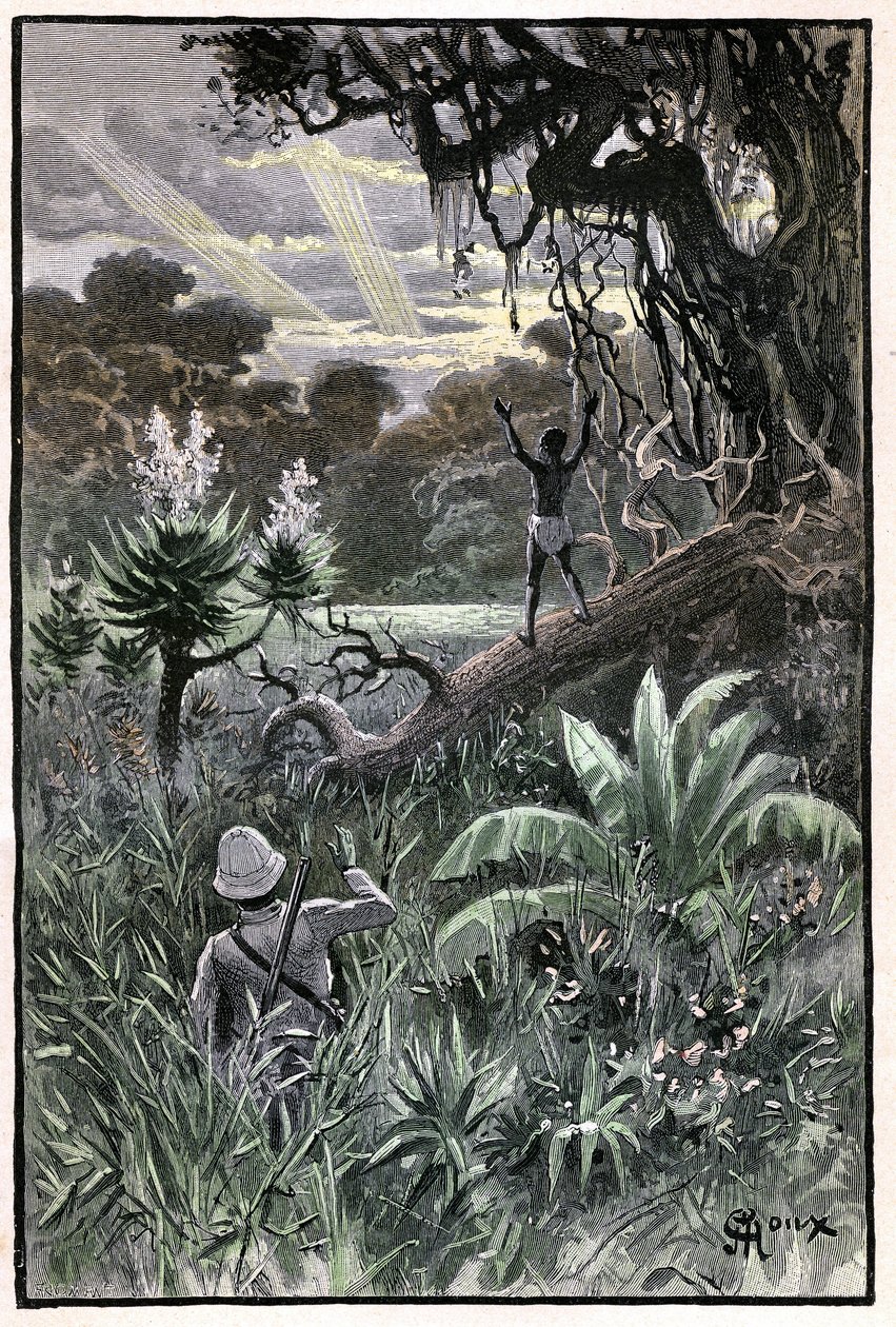 Illustration af George Roux til Jules Vernes bog "The Aerien Village" (1901), Hetzel edition/Extraordinary Voyages, Known and Unknown Worlds. Udsigt over en afrikansk skov (Congo). af George Roux