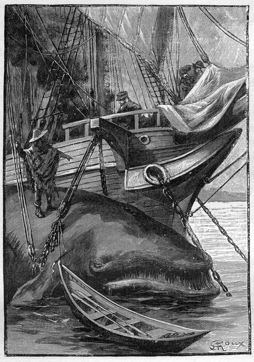 Jules Vernes roman "Les histoires de Jean-Marie Cabidoulin" (1901), Hetzel Collection/Extraordiaires, illustration af George Roux. "Hval fortøjet til hvalfangerskib" af George Roux