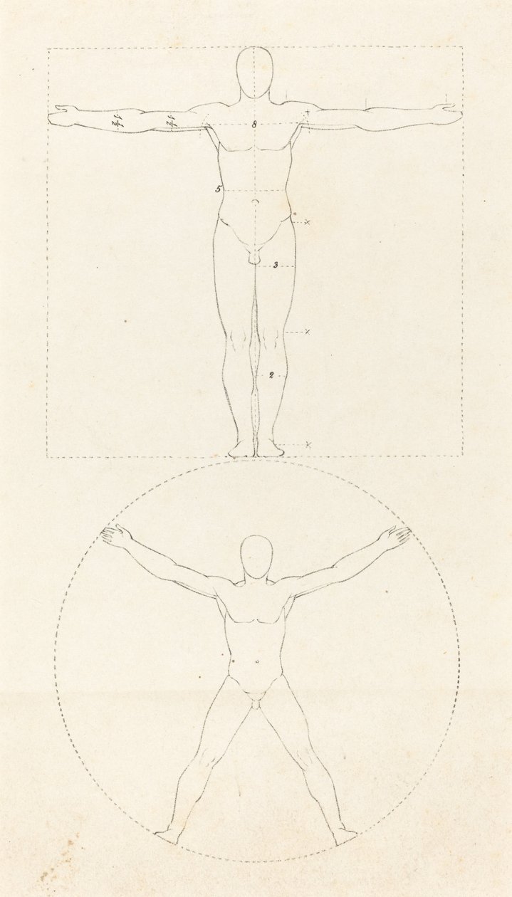 Cirkel og firkant af den menneskelige figur af George Scharf after John Flaxman