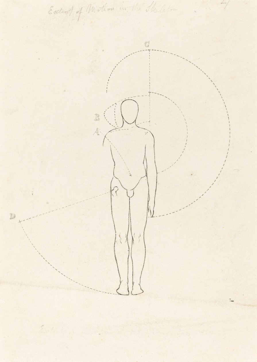 Bevægelsens omfang, én figur af George Scharf after John Flaxman