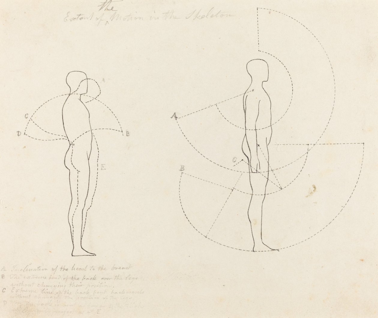 Bevægelsens omfang vist i to figurer af George Scharf after John Flaxman
