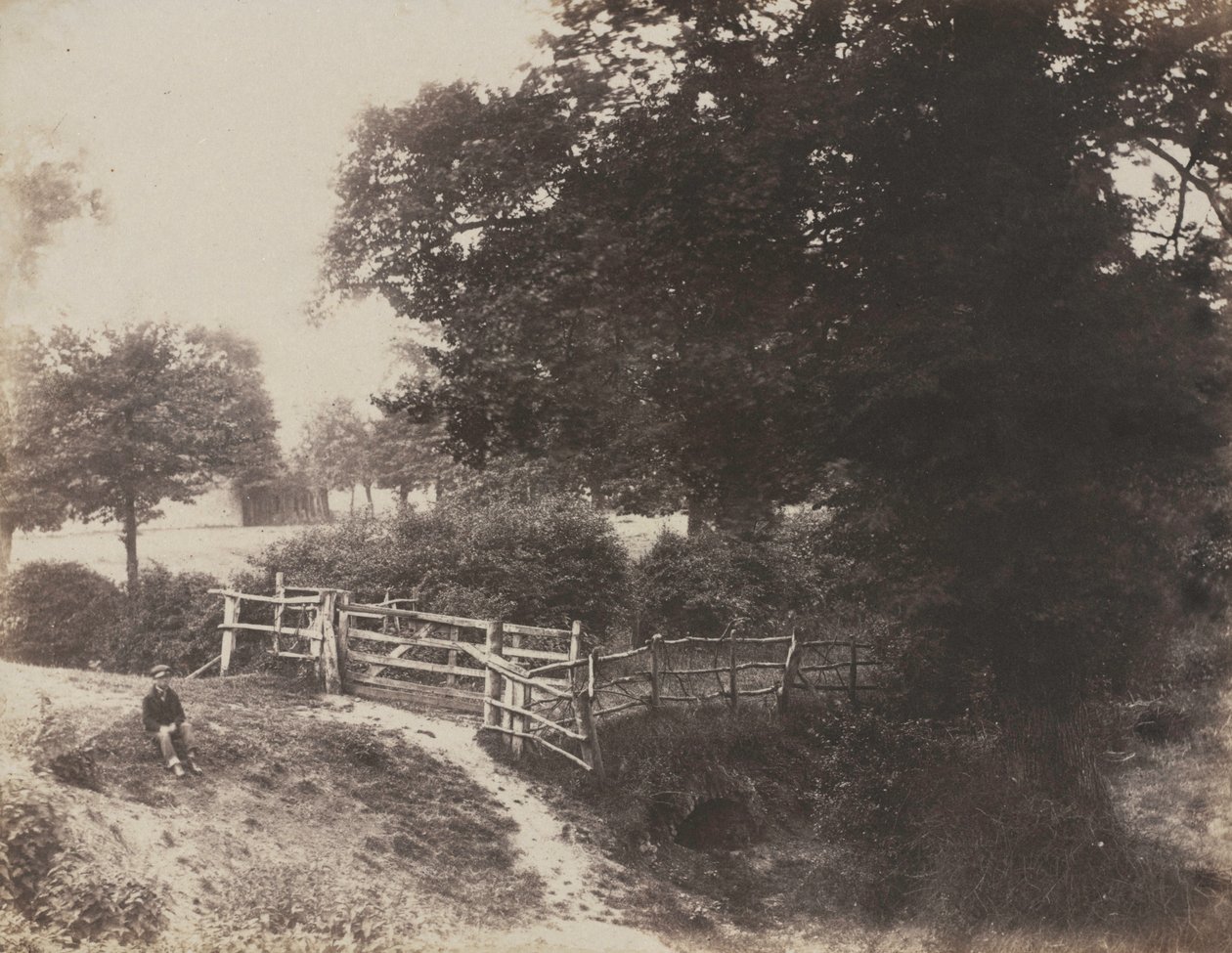 Grønne Enge, 1854. af George Shadbolt
