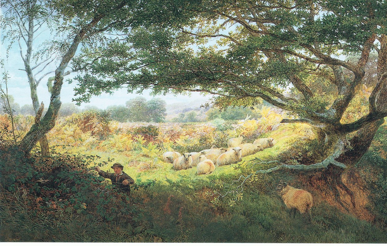 Hyrde-drengen af George Shalders