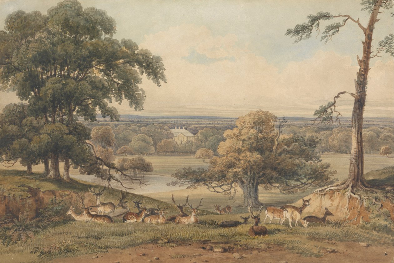En fjern udsigt over Ampthill Park af George Shepherd