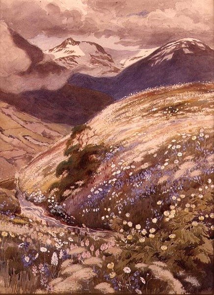 Alpine blomster (akvarel på papir) af George Soper