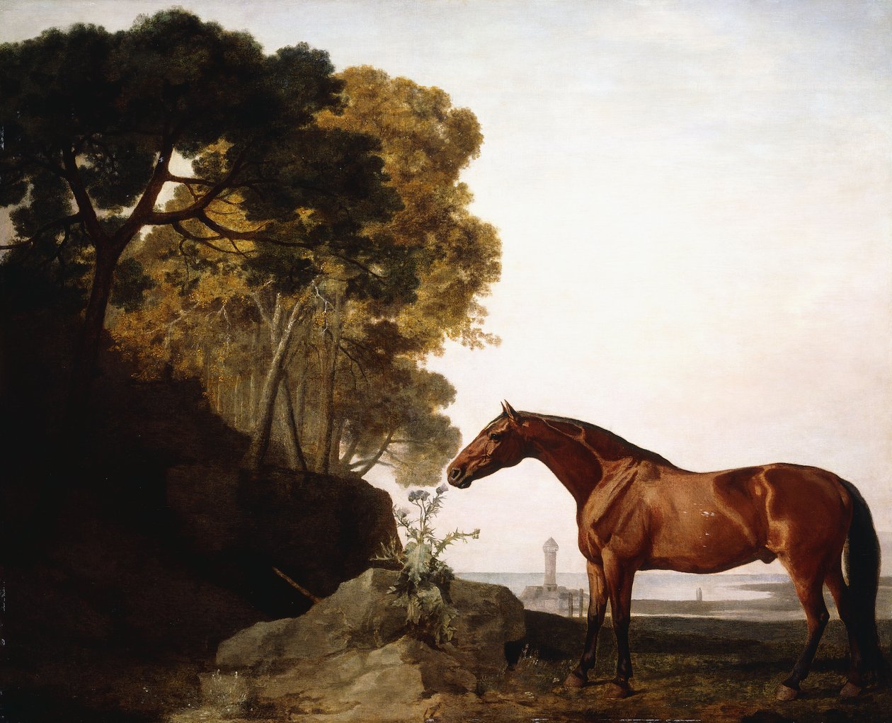 En bugt-araber i et kystlandskab, 1779 af George Stubbs