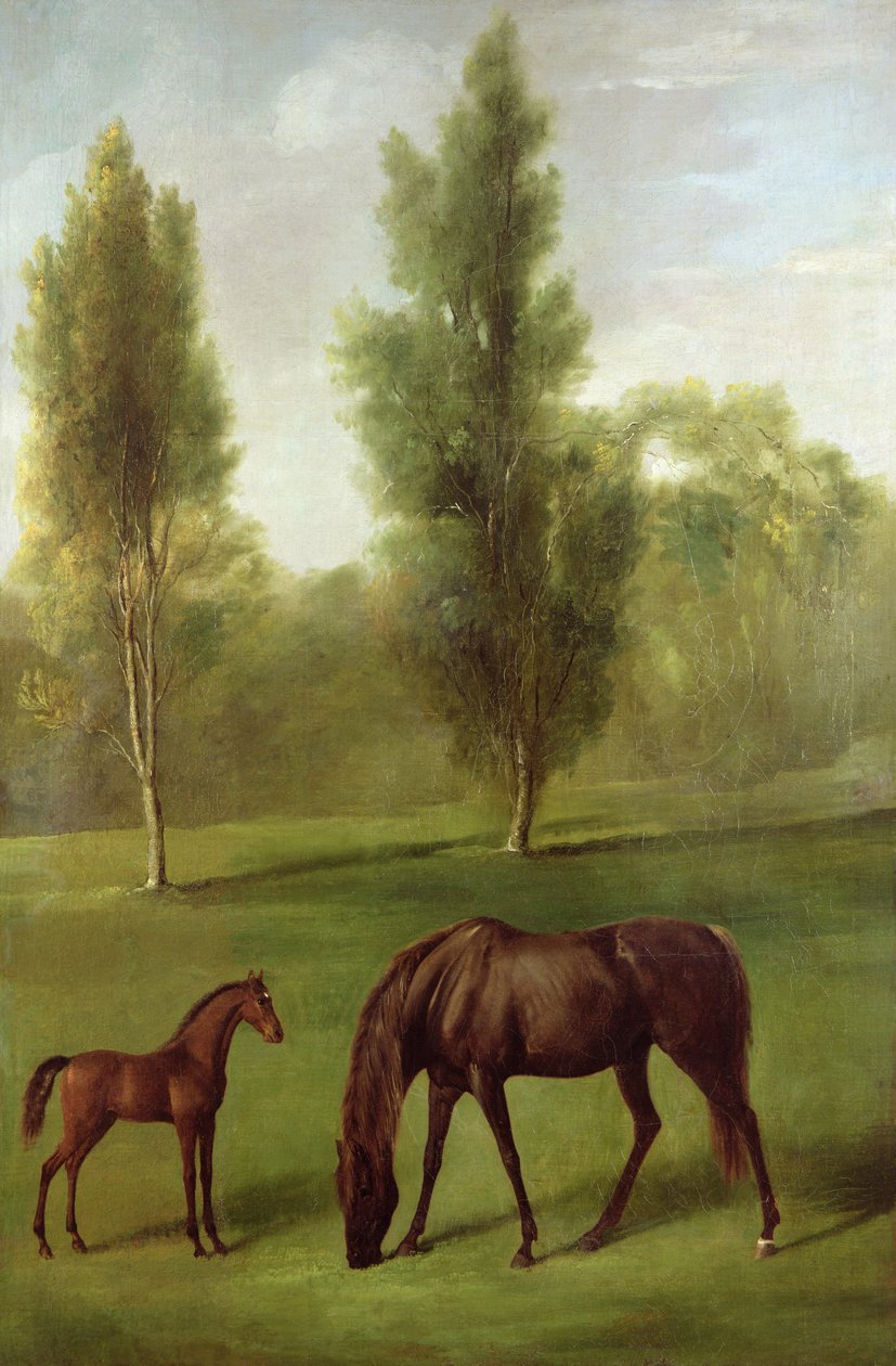En kastanjehoppe og føl i et skovklædt landskab, ca. 1761-63 (olie på lærred) af George Stubbs