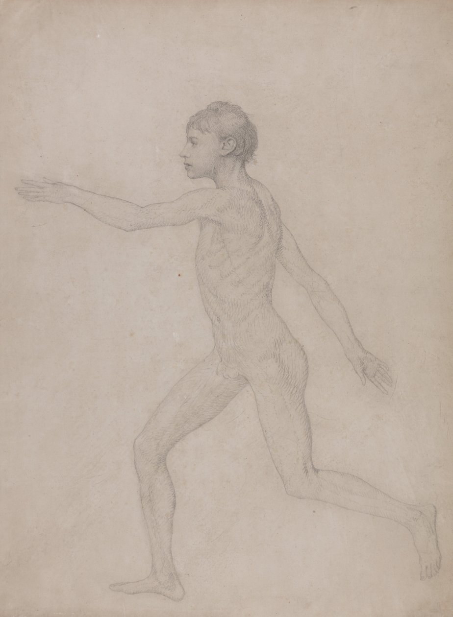 En sammenlignende anatomisk fremstilling af menneskekroppens struktur med tigerens og den almindelige hønsefugls: Menneskefigur, set fra siden (Foreløbigt udkast til det endelige studie til Tabel VIII) af George Stubbs