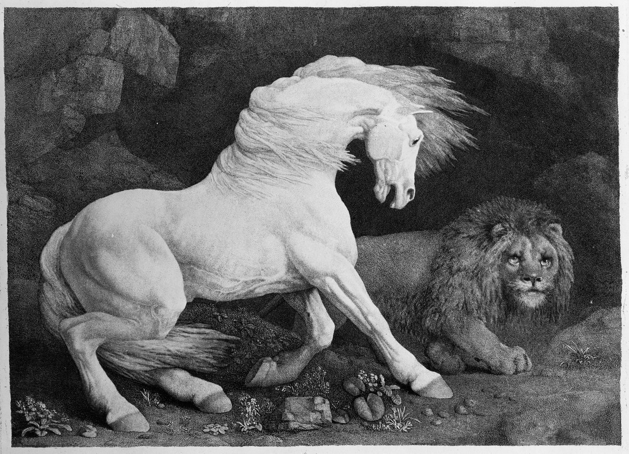 En hest skræmt af en løve, indgraveret af kunstneren, 1788 af George Stubbs