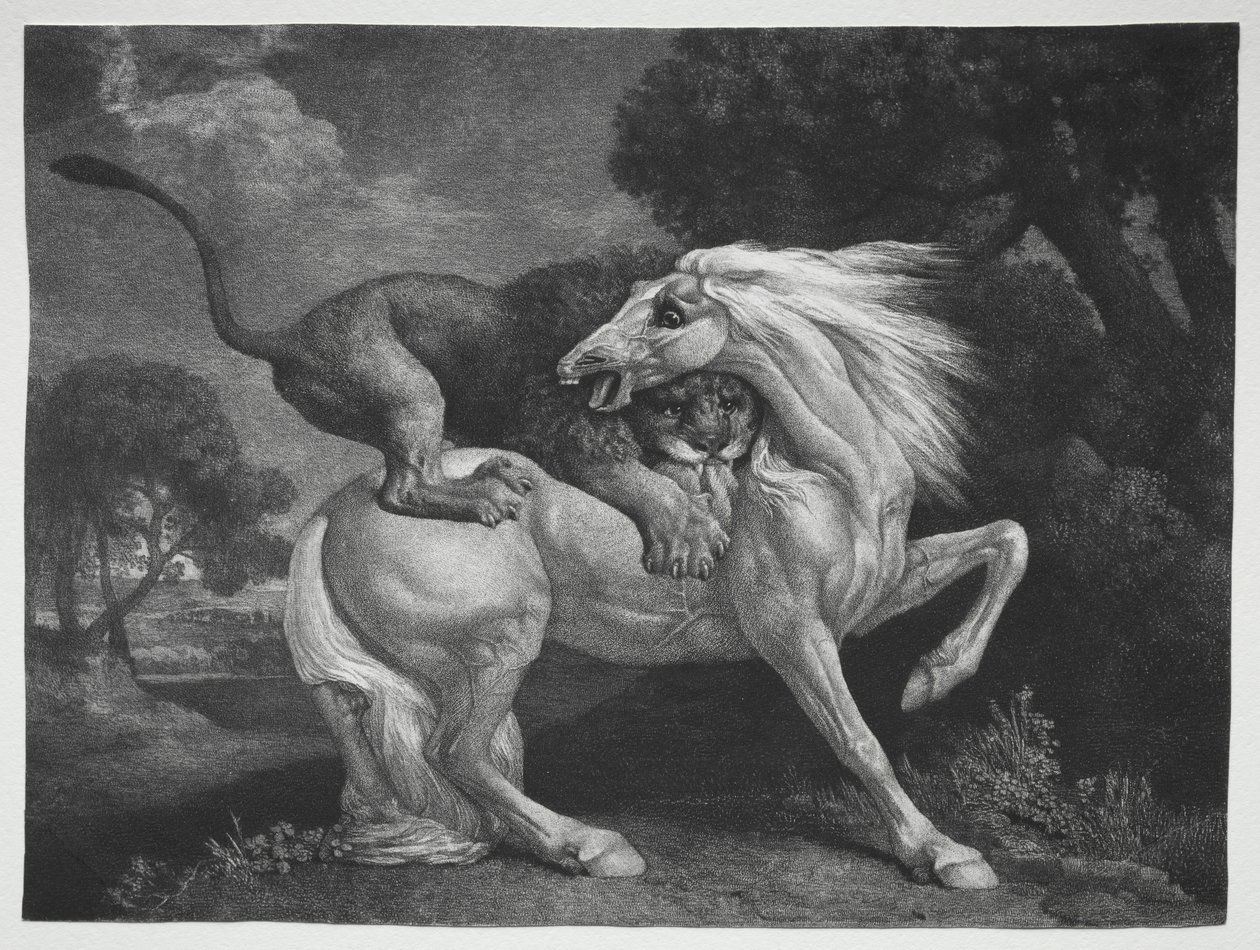 En hest angrebet af en løve, 1788. af George Stubbs