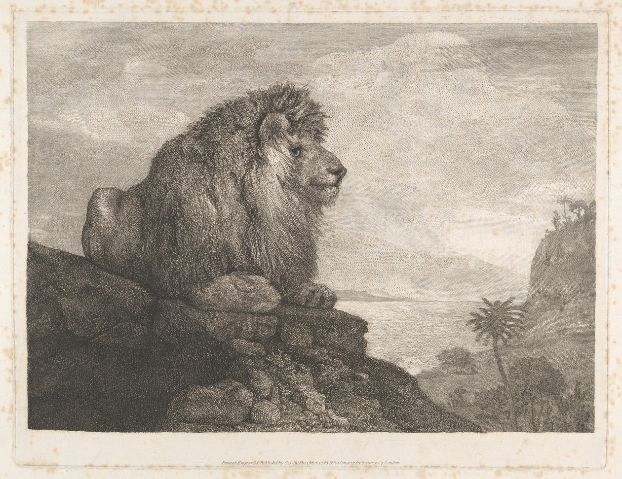En løve (en løve, der hviler på en klippe) af George Stubbs