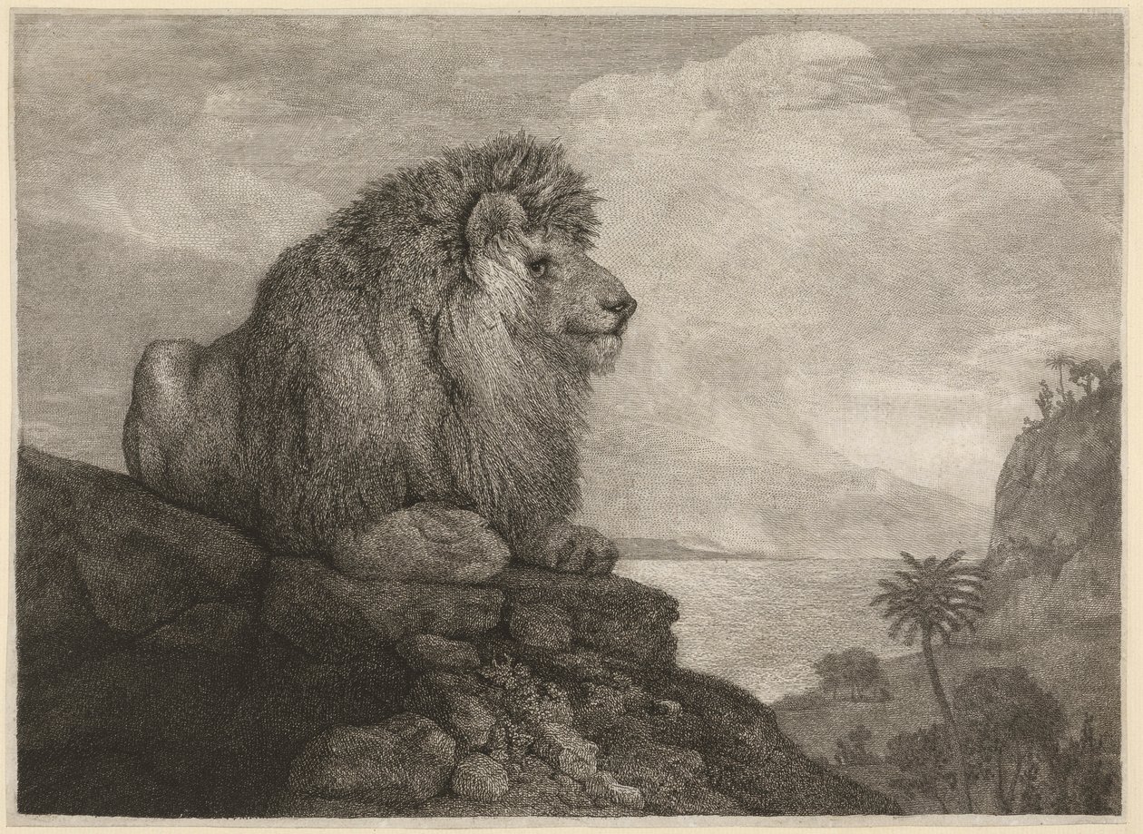 En løve (A Lion Resting on a Rock) indgraveret af kunstneren af George Stubbs
