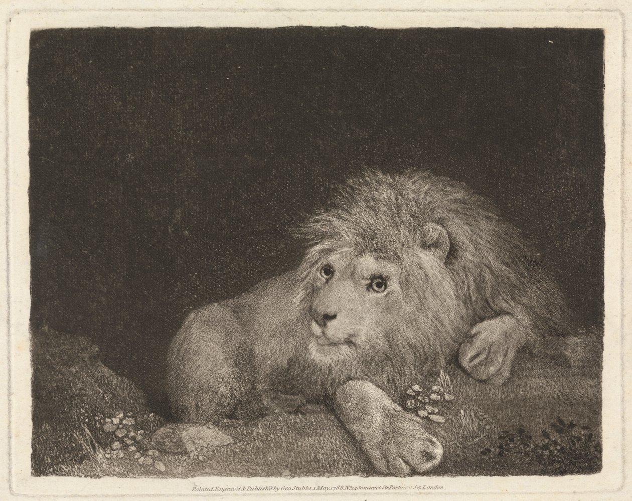 En løve [En liggende løve] af George Stubbs
