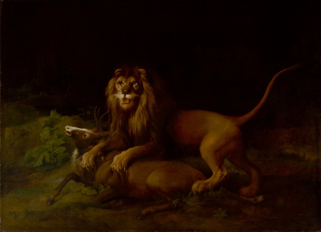 En løve angriber en kronhjort af George Stubbs