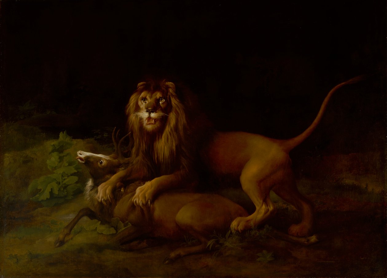En løve, der angriber en kronhjort, mellem 1765 og 1766. af George Stubbs