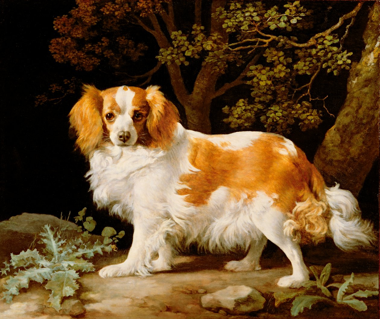 En lever og hvid King Charles Spaniel i et skovklædt landskab af George Stubbs
