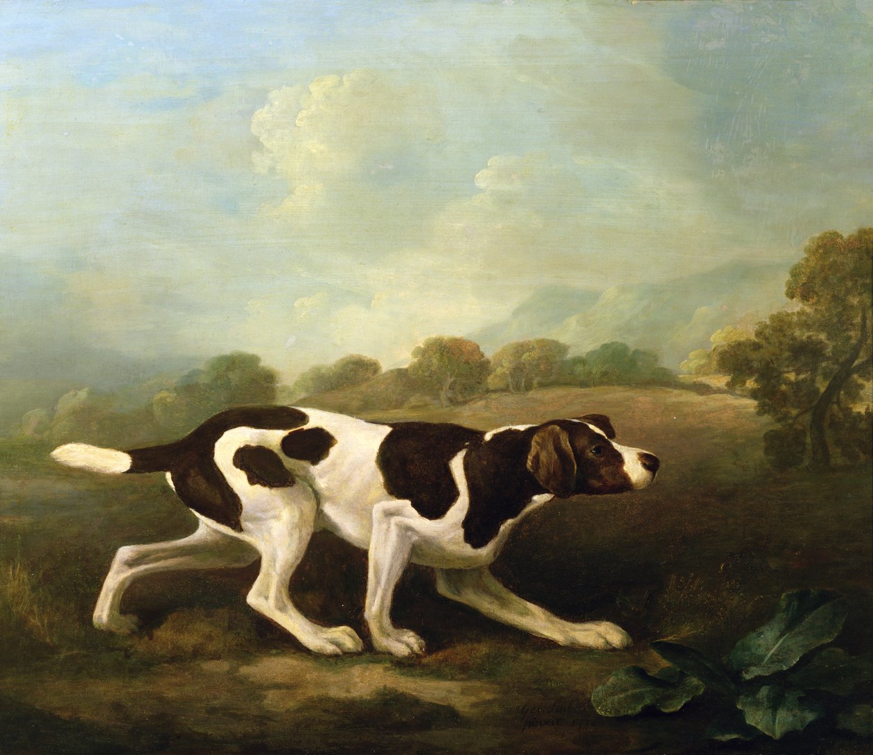 A Pointer (olie på lærred) (for par se 266117) af George Stubbs