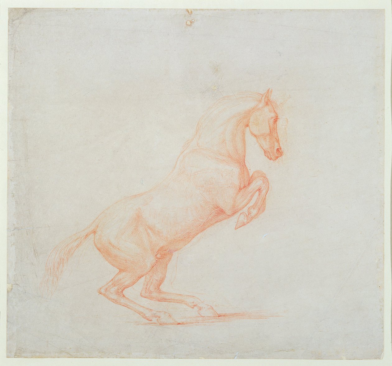 En galopperende hest, vendt mod højre, 1790 (Rødkridt på papir) af George Stubbs