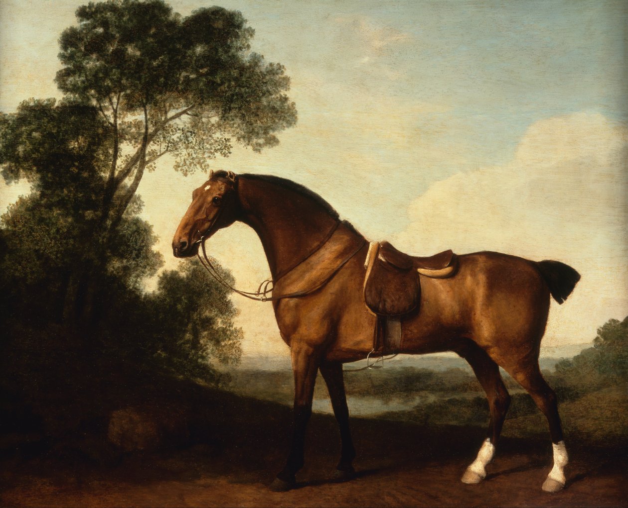 En sadlet bugtjæger af George Stubbs