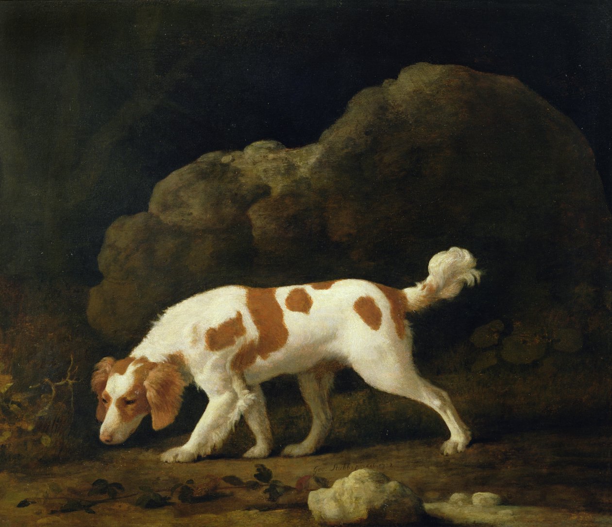 En spaniel (olie på lærred) (for par se 266116) af George Stubbs