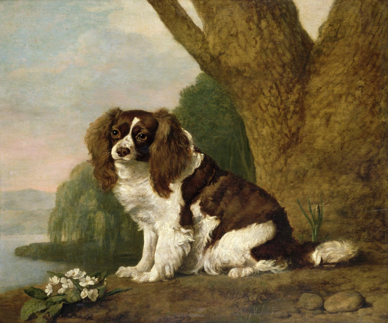 Fanny, en brun og hvid spaniel af George Stubbs